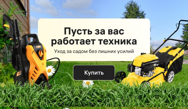 main banner